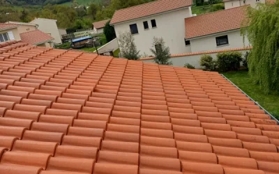 Démoussage de Toiture à Sainte-Foy-l&rsquo;Argentière