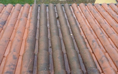 Démoussage de toiture à Chazelles-sur-Lyon