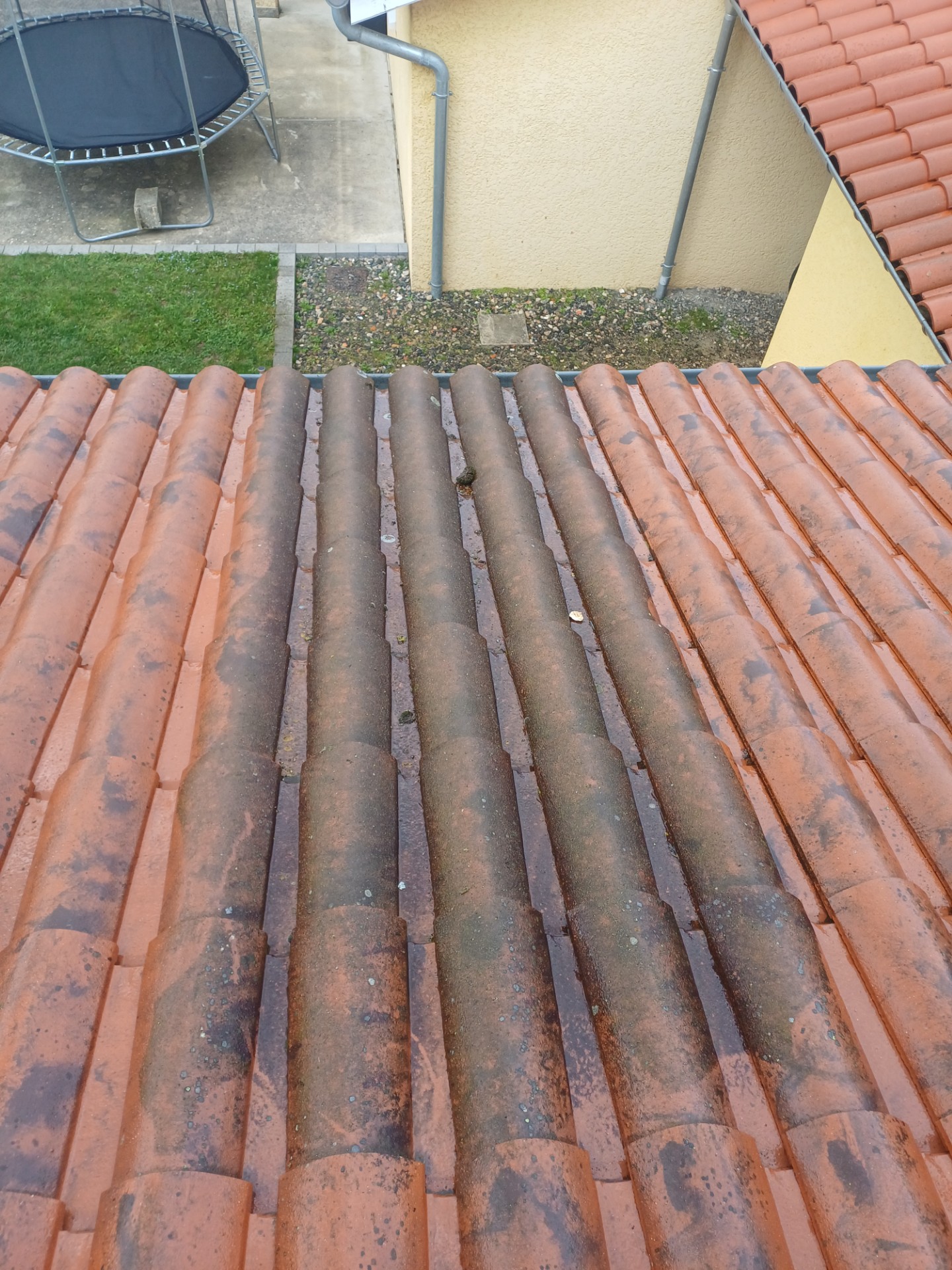 Toiture avant démoussage à Saint-Genis-les-Ollières