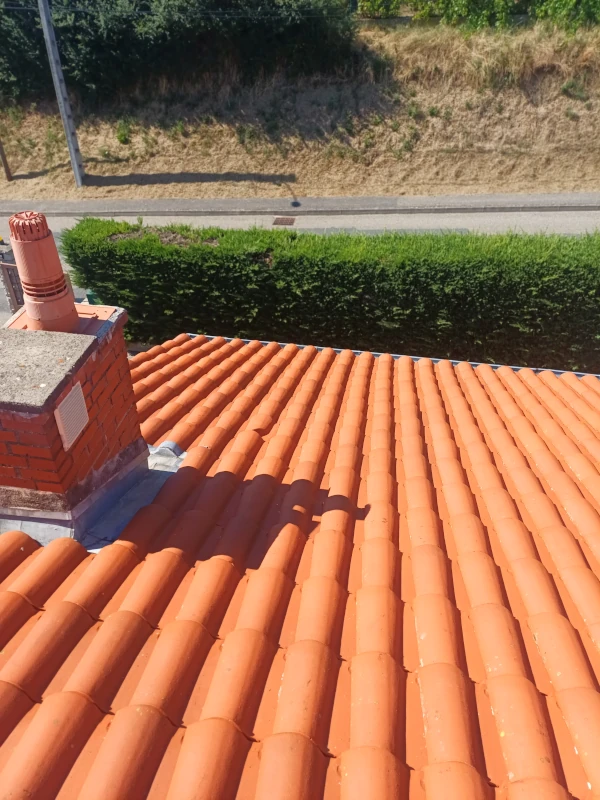 démoussage toiture thurins 69 après