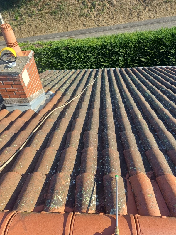 démoussage toiture thurins 69 avant